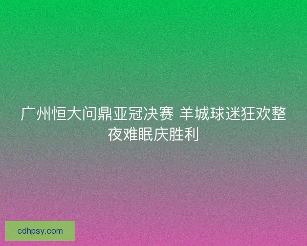 广州恒大问鼎亚冠决赛 羊城球迷狂欢整夜难眠庆胜利